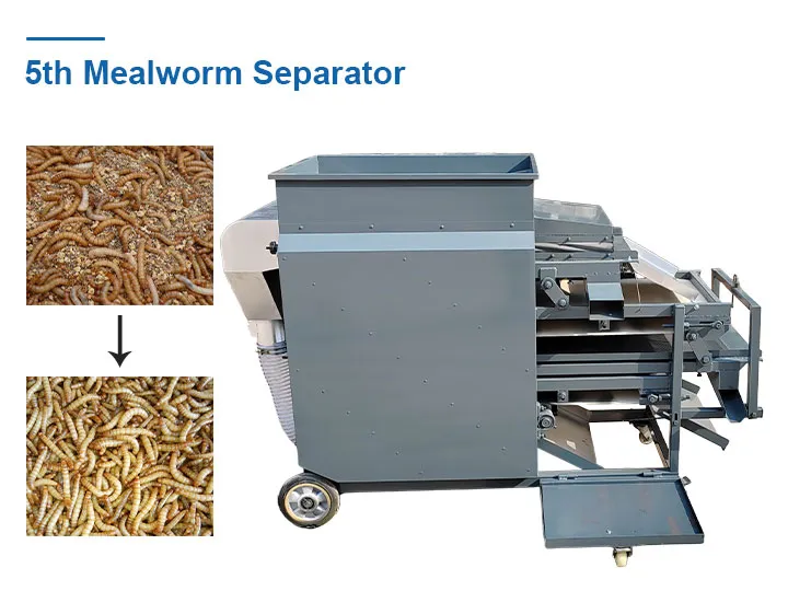5th Mealworm Separator Machine