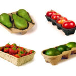 all kinds of fruit trays