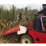 combined corn harvester