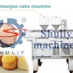 delimanjoo cake machine