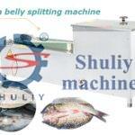 fish belly splitting machine