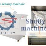 fish scaling machine
