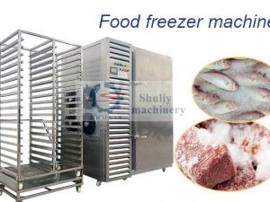 industrial meat freezer