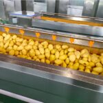 industrial potato cleaning machine