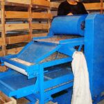 mealworm sorting machine in work