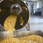 potato chips flavoring machine