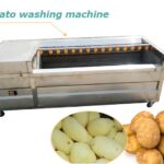 potato washing peeling machine