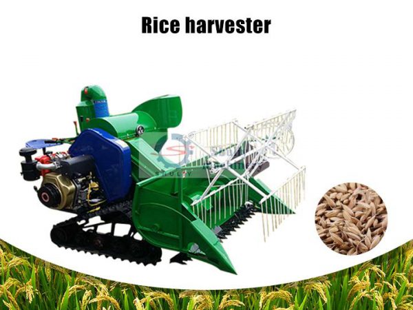 rice and wheat harvester rice and wheat harvester