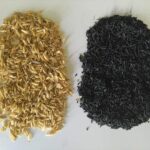 rice husk charcoal