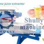 screw juice extractor