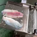 Fischverarbeitung