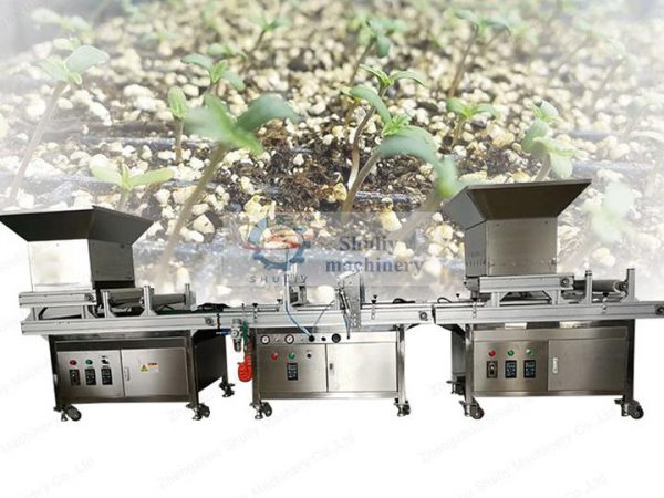 vegetable nursery seeding machine