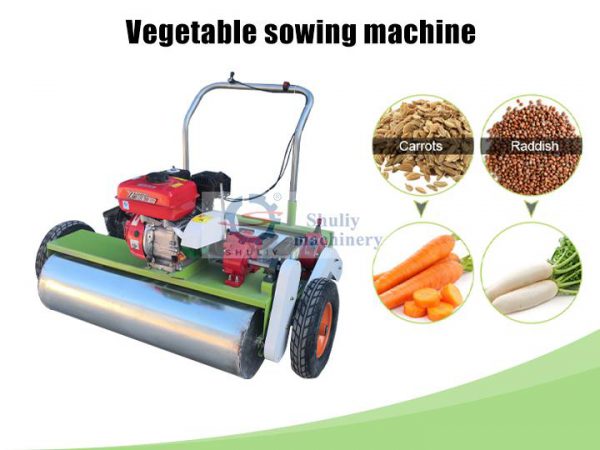 vegetable planter vegetable planter