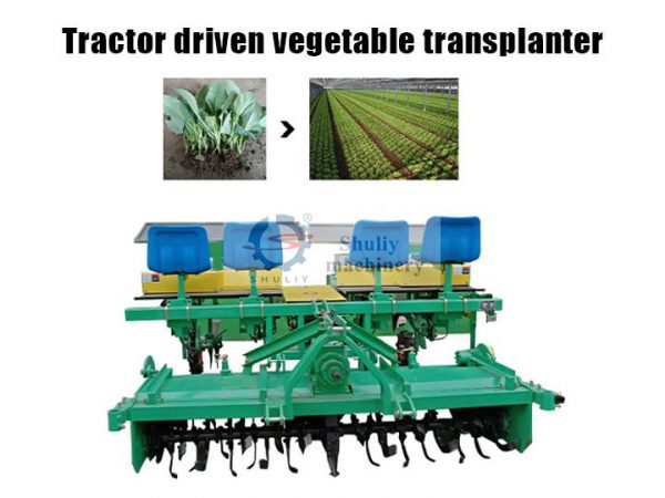 vegetable transplanter