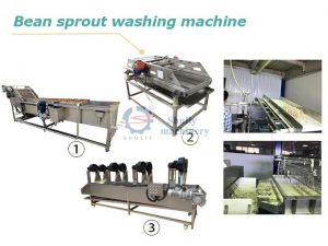 bean sprouts cleaning machine