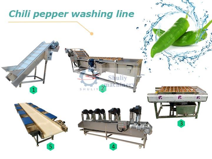 Chili pepper washing line