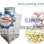 garlic peeling machine