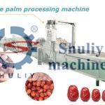 industrial date palm processing machine