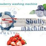 industrial strawberry&blueberry washing machine