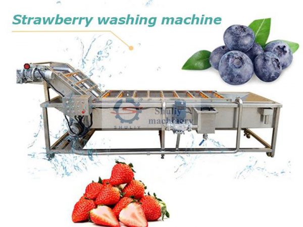 industrial strawberry&blueberry washing machine industrial strawberry&blueberry washing machine