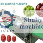 jujube grading machine