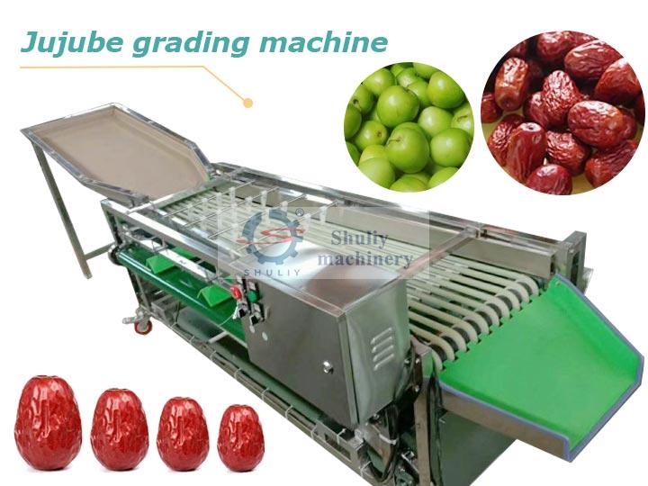 Jujube grading machine