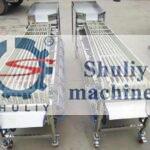 jujube sorting machine