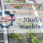leafy vegetable washing machine