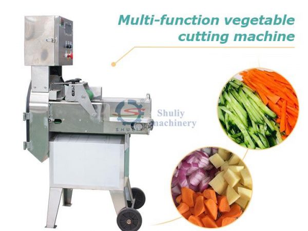 multi-functional vegetable cutting machine