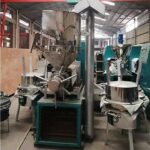 Screw oil press machine