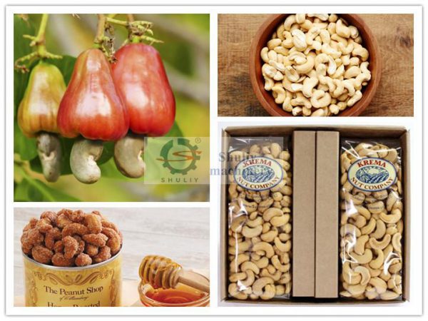 finished-products-of-cashew-nut-processing