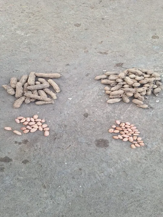 Ghana customer's peanut