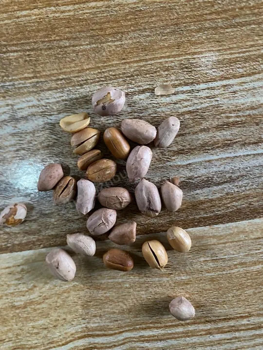 peanuts in Ghana