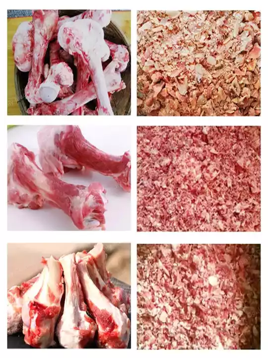 animal bones crushing effect