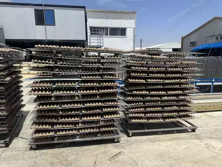 egg tray production