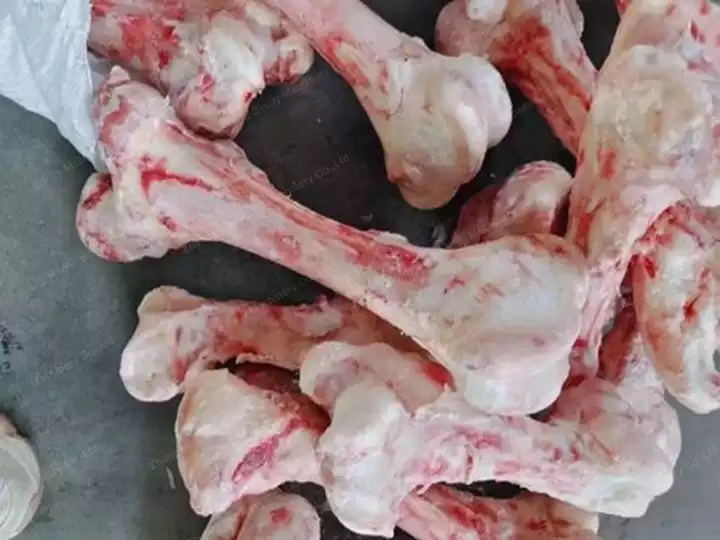 animal bones