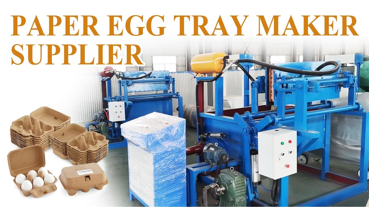 3000pcs/h Paper Egg Tray Making Machine Working Process Display